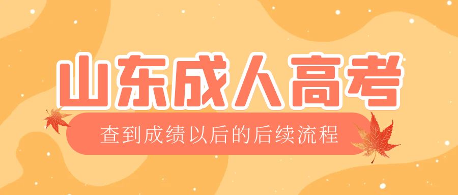 乐陵成考查完成绩以后做什么，乐陵成考网